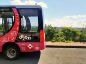 photo Dijon City Tour