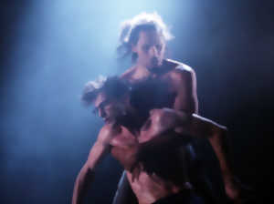 photo Dans la solitude des champs de coton Cie Pietragalla – Derouault / Théâtre du Corps Genre : Danse