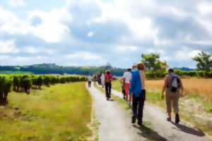 photo MARCHE ET COURSE POUR OCTOBRE ROSE