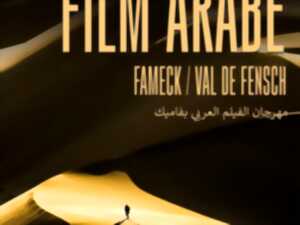 photo FESTIVAL DU FILM ARABE