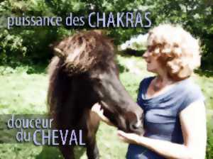 photo ATELIER PUISSANCE DES CHAKRAS, DOUCEUR DU CHEVAL