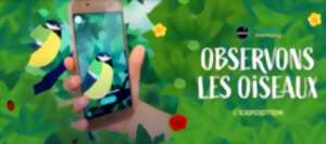 photo Exposition
