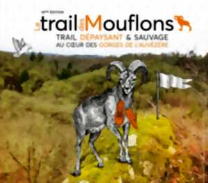 photo Trail des Mouflons