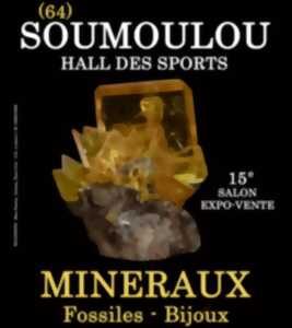 7eme Salon des minéraux fossiles et bijoux