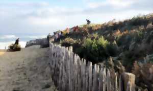 photo Chantier citoyen de pose des sapins