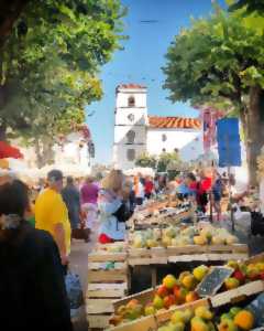 Marché alimentaire - Centre-ville