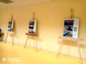 photo Exposition Balance ton Bois