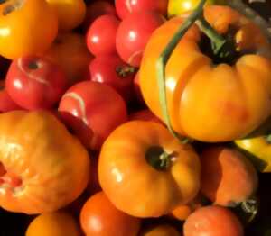 photo MARCHÉ DE PRODUCTEURS LE SAMEDI MATIN À CRASTES