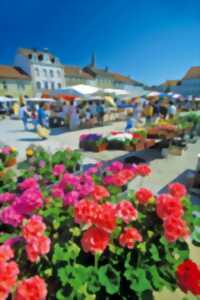 photo MARCHÉ TRADITIONNEL DU MERCREDI