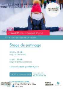 photo Stage de patinage