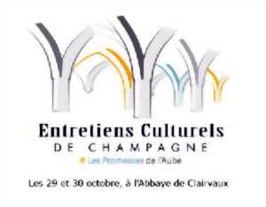 photo Les Entretiens Culturels de Champagne : Entretien avec Amélie Nothomb