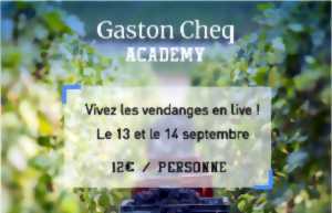 Vivez les vendanges en live au Champagne Gaston Cheq