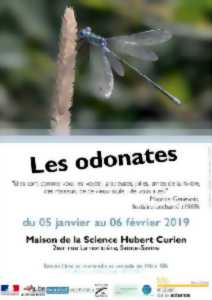 photo Exposition - Les odonates !