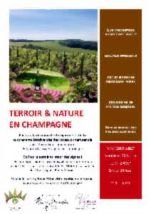 Terroir & Nature en Champagne au Champagne Rémy Massin