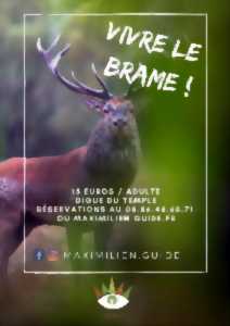 photo Vivre le brame