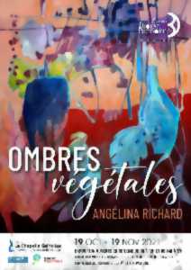 Exposition « Ombres végétales » Angélina Richard
