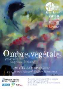 Exposition « Ombre végétale » d'Angélina Richard