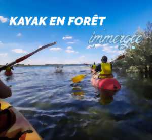 Balade Kayak en forêt immergée