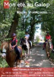 Promenade à Poney et à Cheval