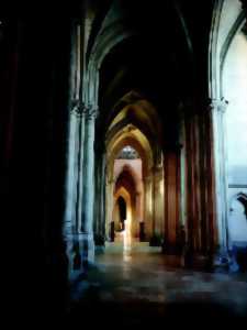 Nuit des Cathédrales