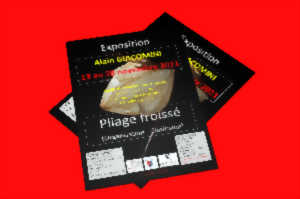 photo Exposition : Pliage froissé, organisation-confusion