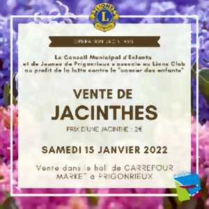Vente caritative de Jacinthes
