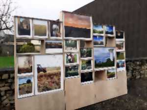 photo Exposition
