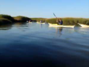 photo Découverte et initiation au kayak de mer dans le delta du Bassin d'Arcachon