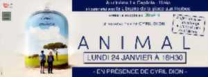 photo Rencontre / projection - Animal