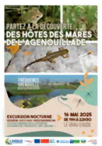 photo SORTIE NATURE : FRÉQUENCE GRENOUILLE