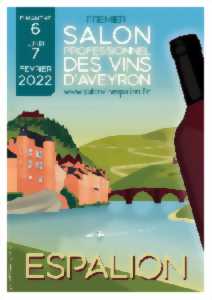 photo Salon des Vins de l'Aveyron