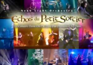 Neko Light Orchestra - Echos du Petit Sorcier - 16h