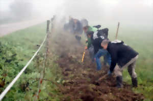 photo CHANTIER DES AMIS DU PARC - PLANTATION PARTICIPATIVE DE HAIES