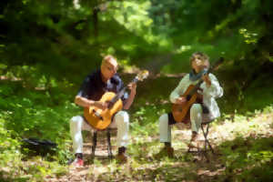photo Bain de forêt musical