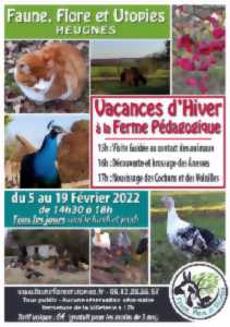 photo Vacances d'hiver à la ferme pédagogique