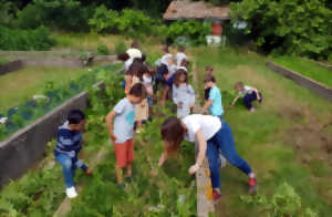 photo Atelier à la ferme : Visite des Jardins du Refuge et dégustation