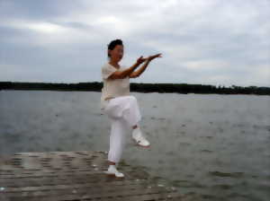 photo Stage de Qi Gong au bâton