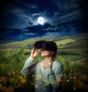 photo Immersion en réalité virtuelle dans le vignoble