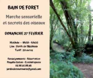 Jardin des Murmures forêt de BLASIMON