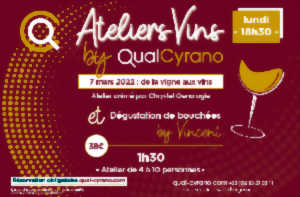 Atelier vin thématique à Quai Cyrano : de la vigne aux vins :  Vins de France, IGP, AOP ? - ANNULE