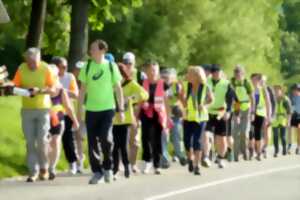 photo Marche Audax 25 km - Circuit des vignerons