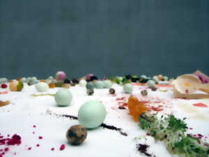 photo Installation : Paysage culinaire par Lei Saito