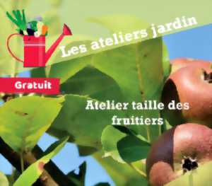 photo Les Ateliers jardin - Taille de fruitiers