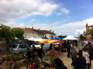 Marché de St Geours de Maremne