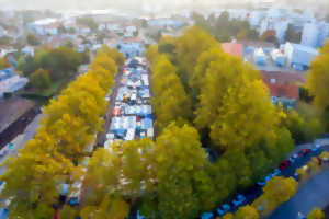 photo Marché de Quintaou