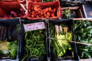 photo Marché de Quintaou