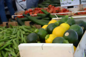 photo Marché de Quintaou