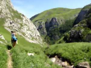 photo Rando Lilika : randonnée niveau 3, yoga du sportif et spa