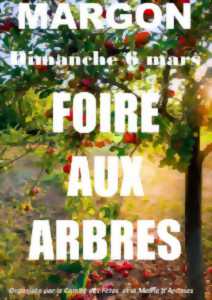 photo Foire aux arbres