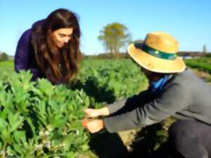 Atelier plantes sauvages comestibles, à la Cueillette de l'Aragnon